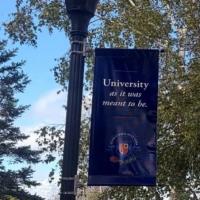 University as It Was Meant to Be: A Double Standard of Campus Safety