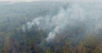 Prabowo orders tougher action on Indonesia fires; foreign offers to help tackle haze not discussed