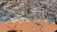 Grand Canyon tourism slumps since huge 2025 fire