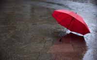 Heavy Rain and Strong Winds Forecast Across Bulgaria on Tuesday