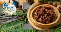 A Seed That's Over 70% Kernel Has Helped Size Indian Cotton Since 1943: Meet the Tamarind