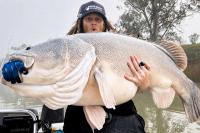 Fisherman 'over the moon' after reeling in record-breaking 4.4-foot cod in South Australia