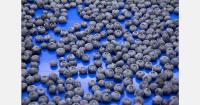 Peru's reduced supply creates opportunities for fresh Chilean blueberries