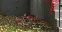 Woman reportedly sexually assaulted during Chicago frat party, police say