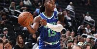 Minnesota Timberwolves Bench: Report Card Preview