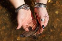 Tennessee Aquarium To Release 500 Lake Sturgeon On Oct. 13