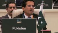 Pakistan stands shoulder to shoulder with Saudi Arabia: Ali Pervaiz Malik