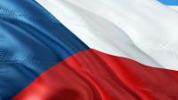 Salmonella detected in chicken meat on sale in Czech Republic