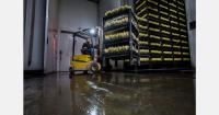 "Hopefully, the smaller new harvest will also lead to better prices"
