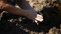 Hungarian Volunteers Build Water Barriers As Drought Pushes Communities To Rethink Survival Strategies