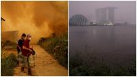 How wildfire in Indonesia has turned Singapore's skies dark?