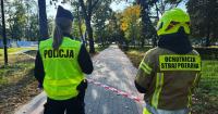 Polish leader says school attacks were fuelled by online glorification of violence