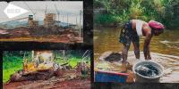 ArcelorMittal: behind ‘French made’ steel, Liberia’s stolen land
