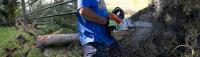 After the Storm: Helping Your Northwest Florida Landscape Recover from a Hurricane
