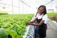 New food storage facilities to cushion global price swings – Pres Ali
