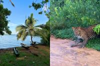 Inside Travel sets its sights on Sri Lanka with new InsideAsia launch