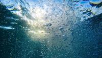 Scientists uncover a hidden force behind the ocean’s carbon storage