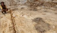Impressions of Wooden Neanderthal Tools Found in Spain