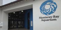 Maine lobstermen’s defamation lawsuit against California aquarium dismissed by appeals court