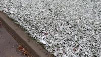Thanksgiving snow hits southern Saskatchewan, but warmer weather is on the way