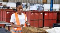 Hainan Rubber Works on Recovery Plan After Cameroon Subsidiaries Lose CFA43.2 Billion in Two Years