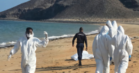 Over 130 Migrants Killed, Including Children, as Boat from Djibouti to Yemen Capsizes
