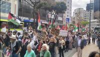 Thousands protest in New Zealand on third anniversary of Gaza genocide