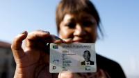 South Africa sets 2028 deadline for Green ID book phase-out