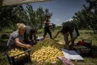 From Uzbekistan to EU: Where Armenian goods are exported after Russia imposes restrictions