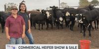 Local youth prepare heifers for sale at Brazos Valley Livestock Commission