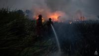 Prabowo steps up Indonesia's firefighting efforts; foreign offers of help not discussed