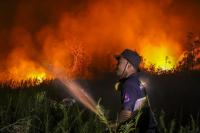 AFP Damaged and drained, Indonesia's peatlands go up in smoke