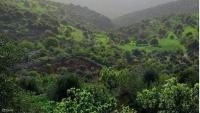 Can Jordan predict pollution and environmental degradation before they occur?