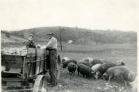 Why old West Virginia families waited for cold weather and a full moon to kill hogs