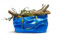 Greenpeace report: Ikea’s hunger for wood destroys Europe’s precious forests 