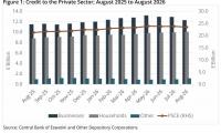 Business confidence softens: Private sector credit falls 1.4%