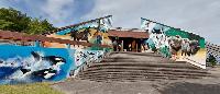 Rooted in Resilience: Daybreak Star Indian Cultural Center Celebrates 50+ Years of Preservation and Perseverance