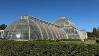 Science and nature: Kew Gardens fundraiser for tropical Palm House