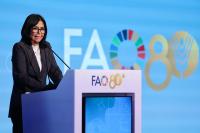 Venezuela Announces Food Plan at FAO, Holds Talks With Angola & Dominican Republic