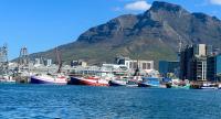 African ports are turning cruise stopovers into gateways for safari and inland tourism