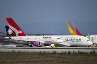 Passengers stranded in Italy after bedbug outbreak grounds long-haul flight to Australia