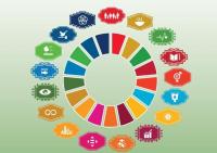 The Power of Grassroots Engagement in Driving Sustainable Development