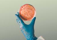 Will tiny viruses rescue us?