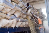 Minister says World Bank okayed Zambia maize funds