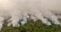 Smoke, swamps and snakes hamper Indonesia’s battle against forest fires, officials say