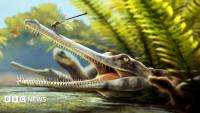Scientists discover new ancient crocodile relative
