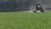 Arkansas farmer reacts to Senate debate's focus on farming