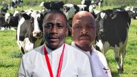Why Free State smallholder dairy farmers are quitting the industry