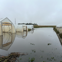 Market Corner: Cedar Crate Farm flooding recovery