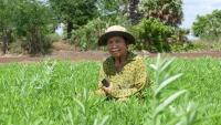 Locally-led restoration: the critical link between land, nature, climate and people